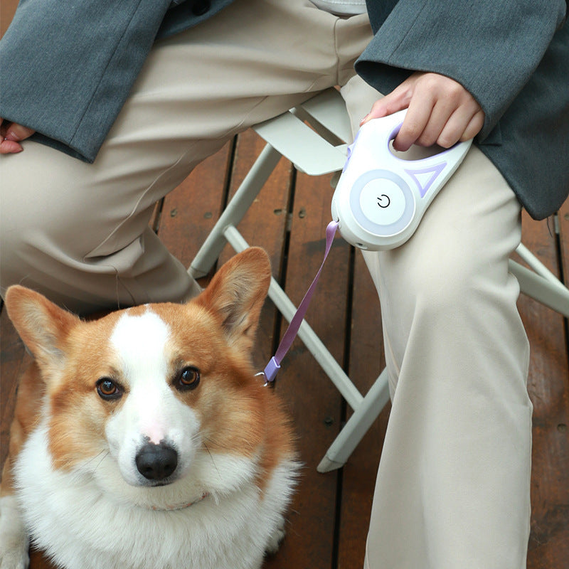 Pet leash for medium dogs