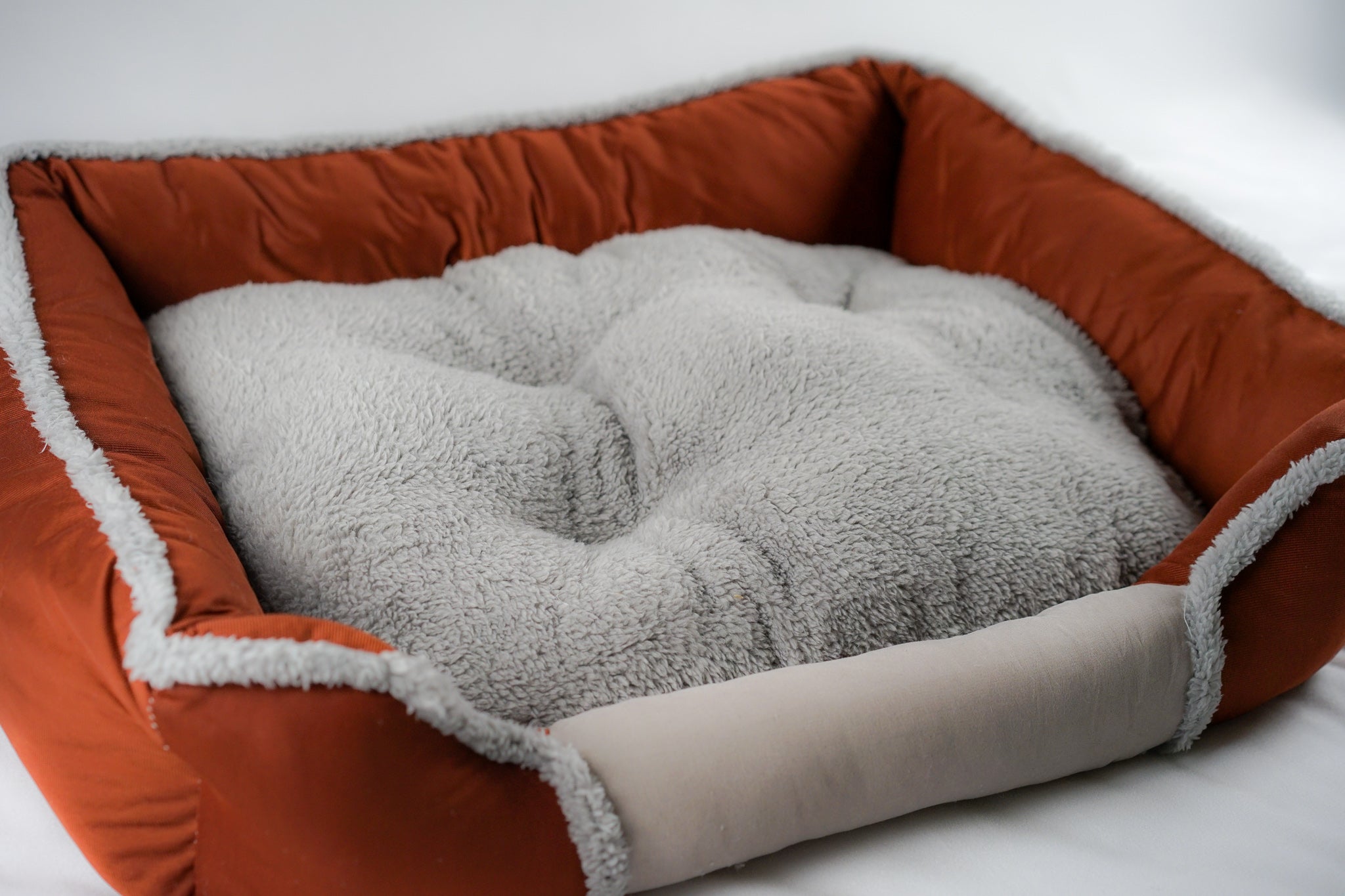 pet dog bed
