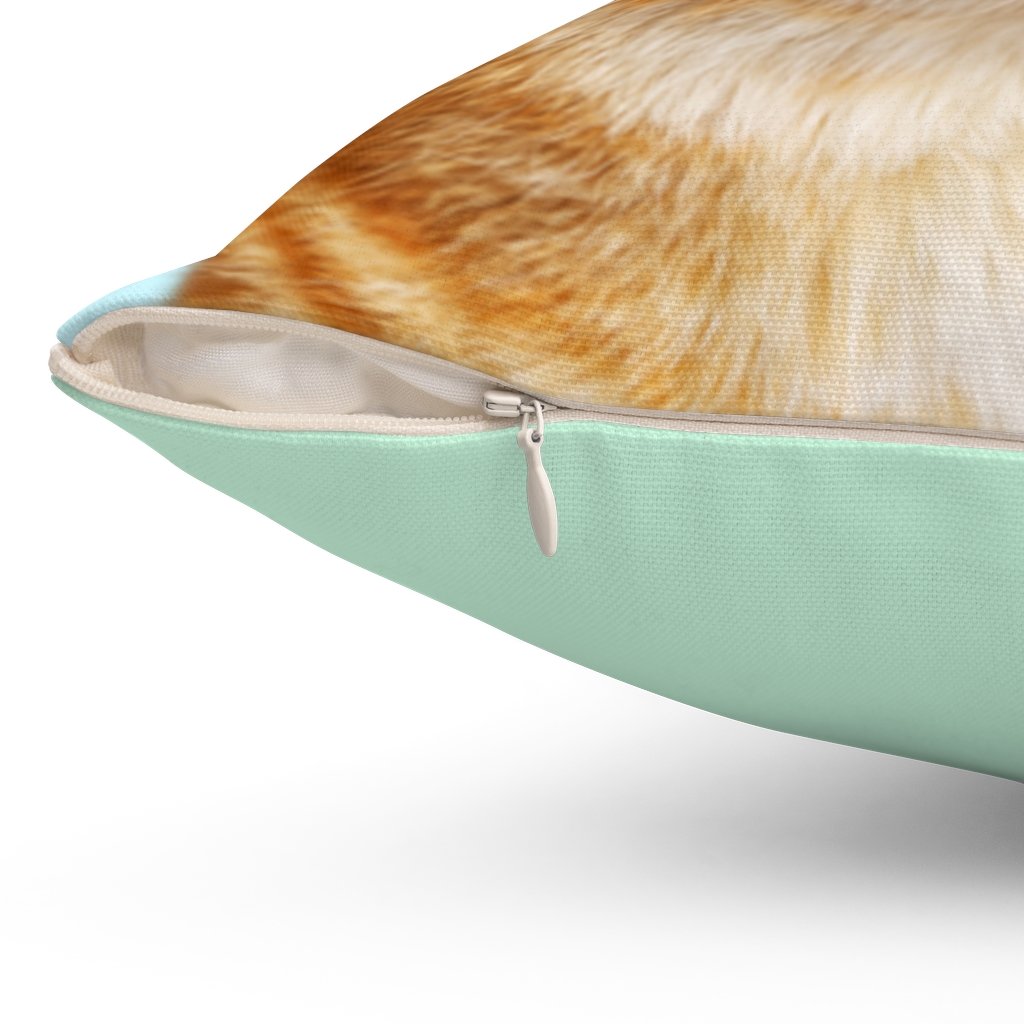 cat in pillow