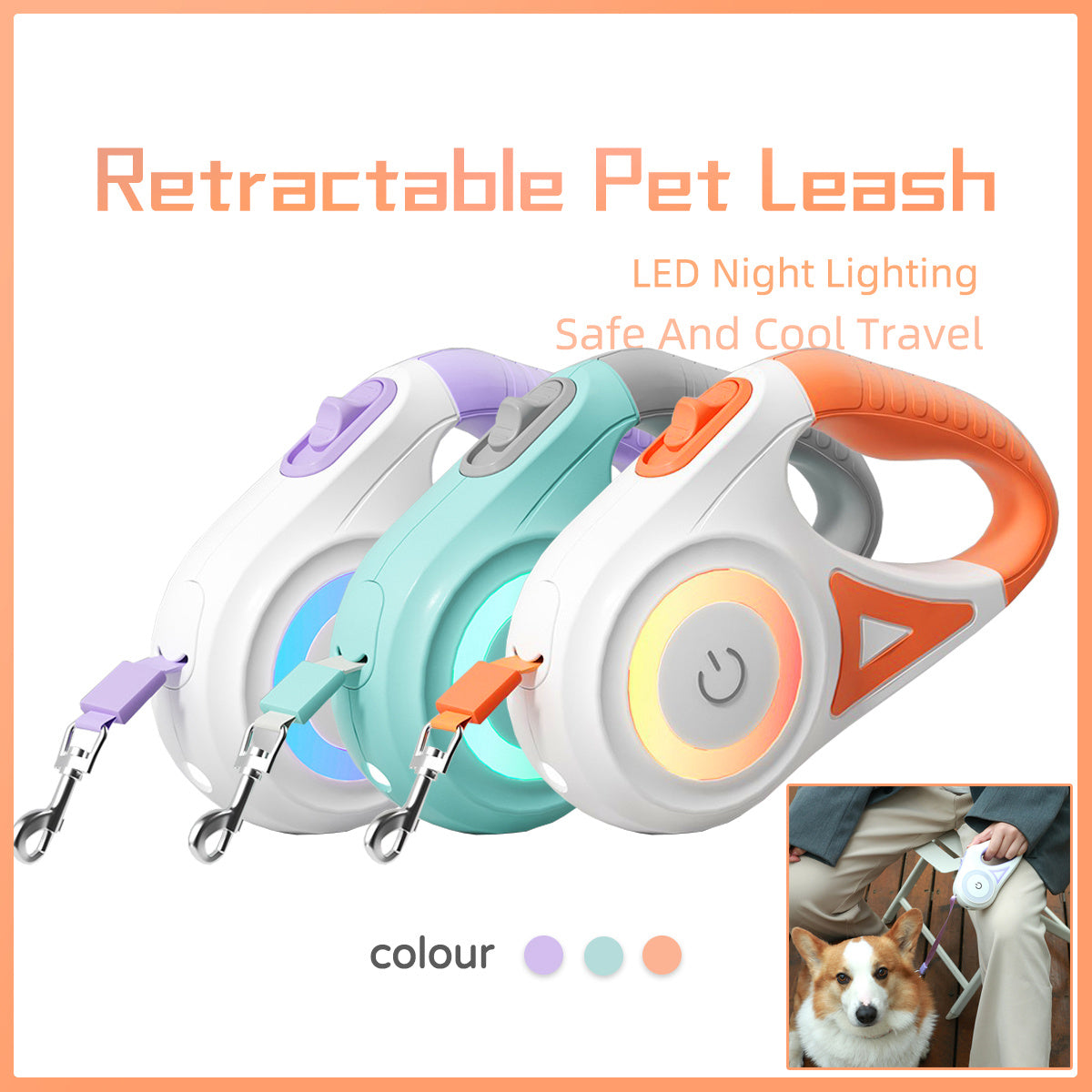 Dog leash and collar set