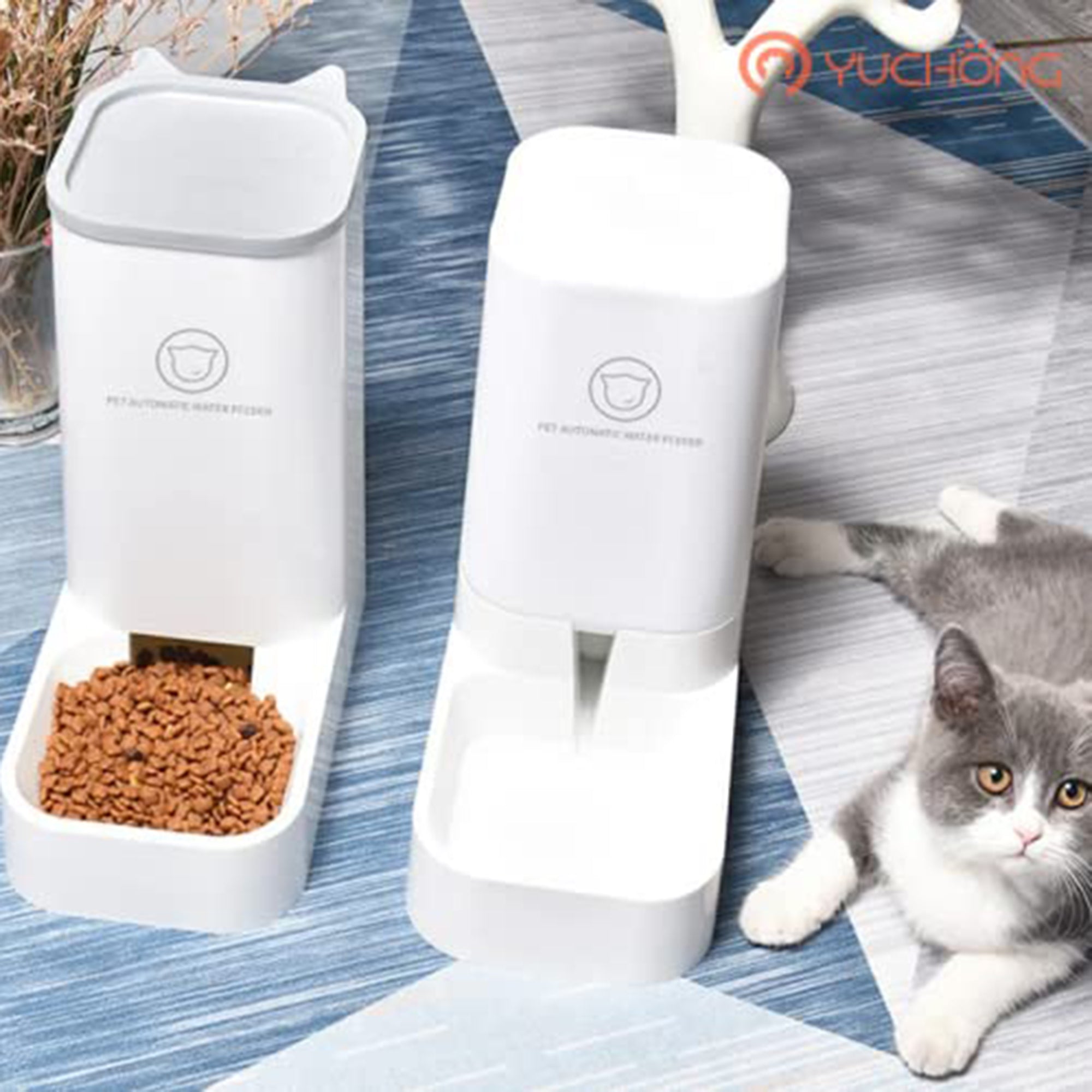 auto water feeder for cats