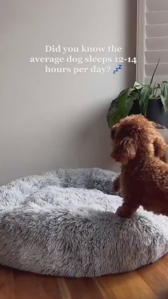 Round Long Hairy Autumn And Winter Nest Pad Cat Mattress