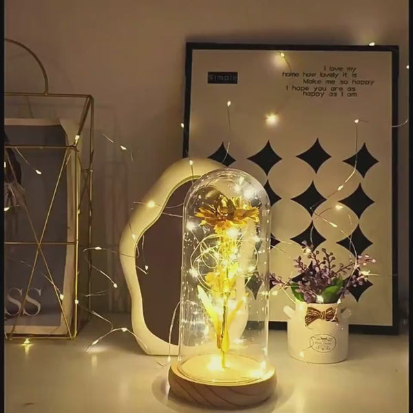 Valentines Day Gift  For Girlfriend Eternal Rose Flowers LED Light In Glass Cover Day Wedding Decoration Favors Mother Day Female Gift  Gift