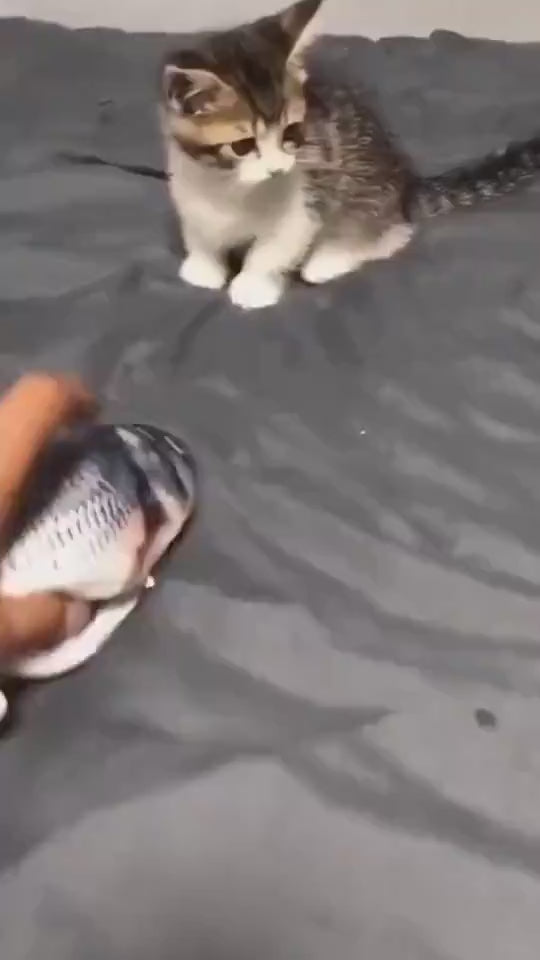 Without Cat Nip Version - Electric Jumping Fish Simulation Electric Fish Toy